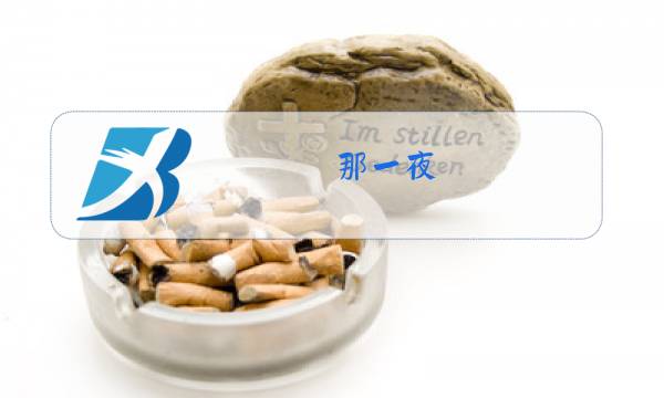 那一夜 原唱歌词谢军图片